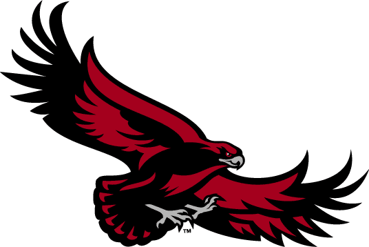 St. Joseph's Hawks 2001-Pres Alternate Logo v4 diy fabric transfers